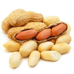 Osmaniye Yer Fıstığı Kabuklu 500Gr