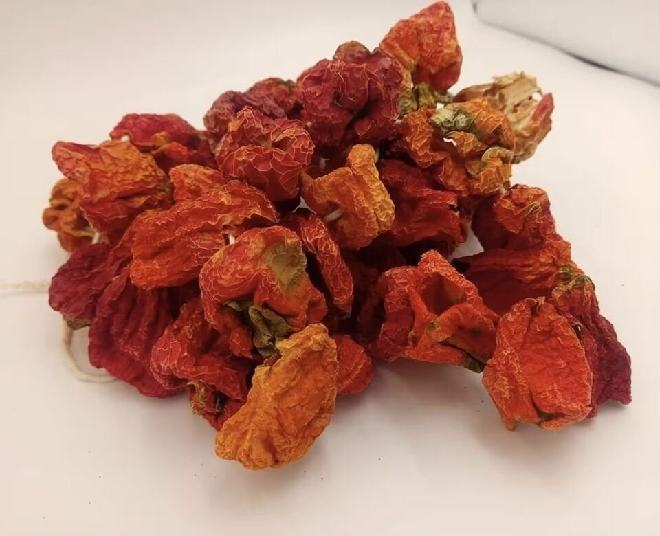 Dolmalık Biber Kurusu Bağ