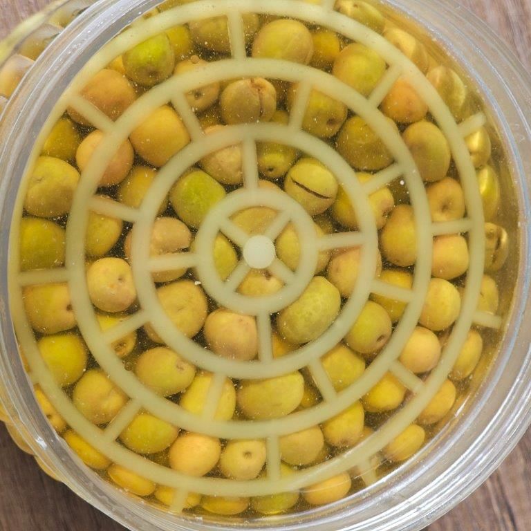 Halhali Kırma Yeşil Zeytin 1 Kg