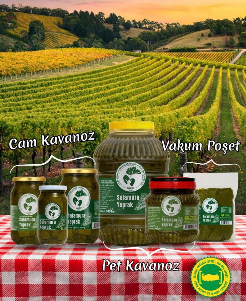 Salamura Asma Yaprağı (Vakumlu) 500Gr