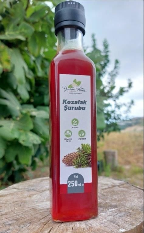 Kozalak Şurubu 250 ML