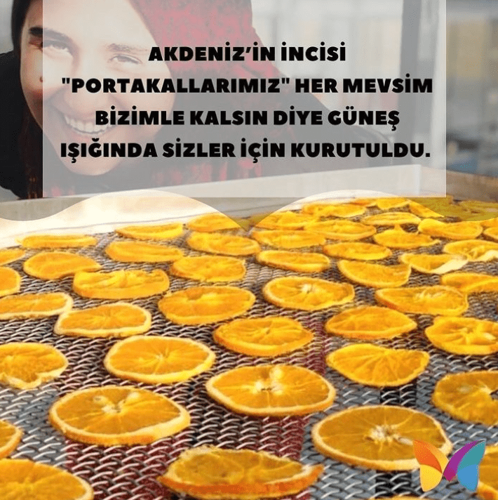 Vegan Kurutulmuş Portakal 50 Gr
