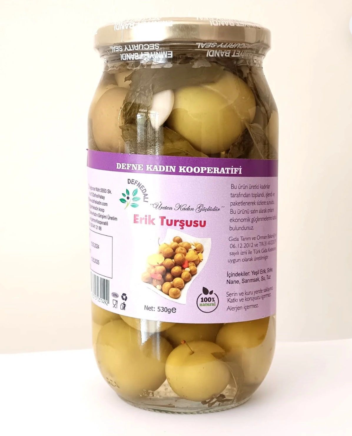 Yeşil Erik Turşusu 530 Gr