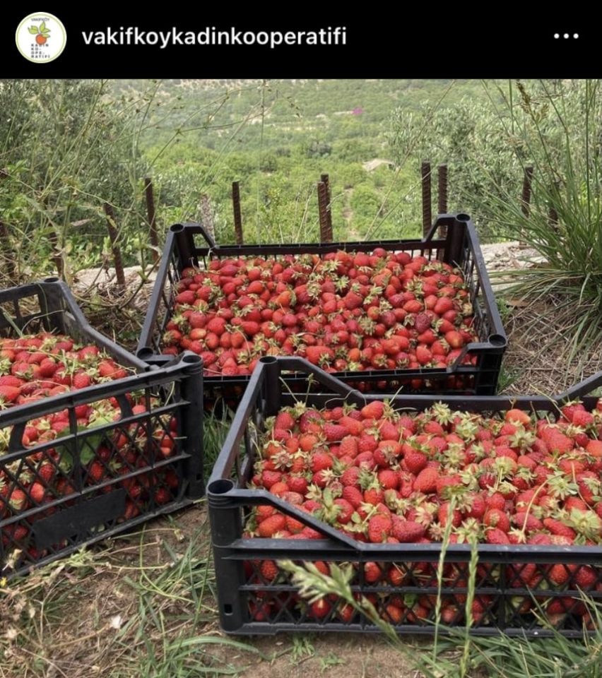 Çilek Reçeli 780Gr