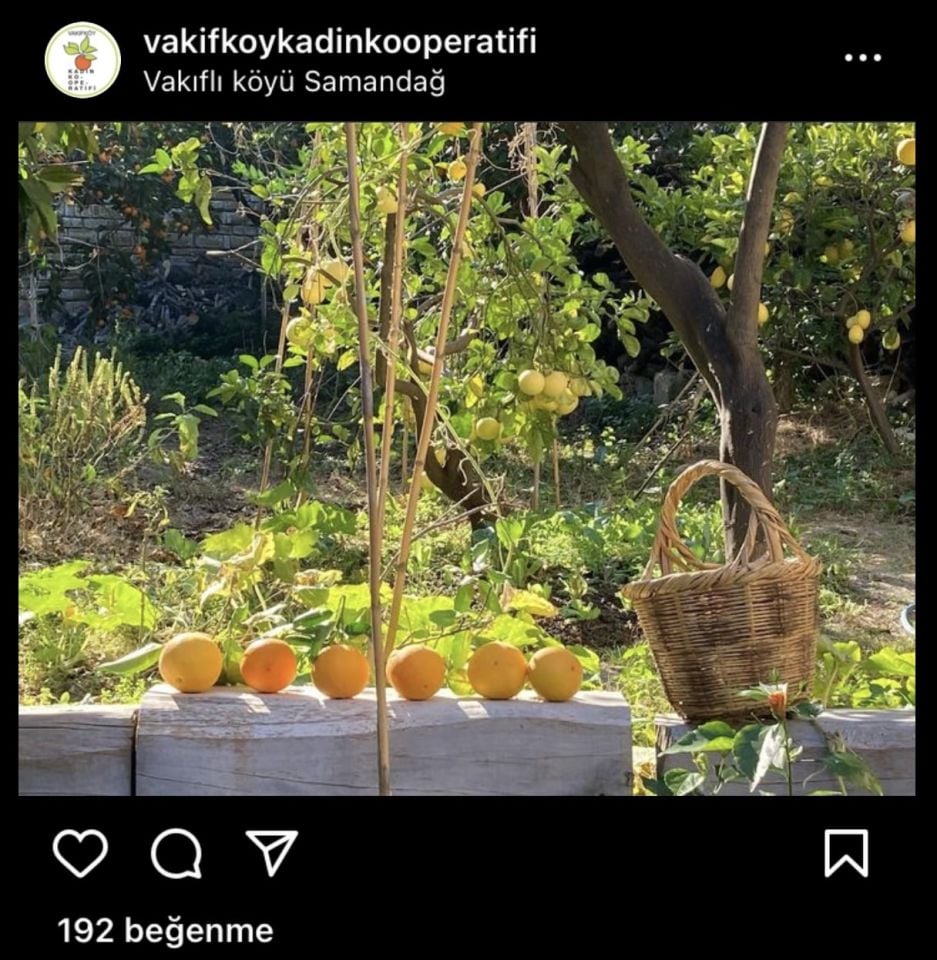 Dut Şurubu 500 ml