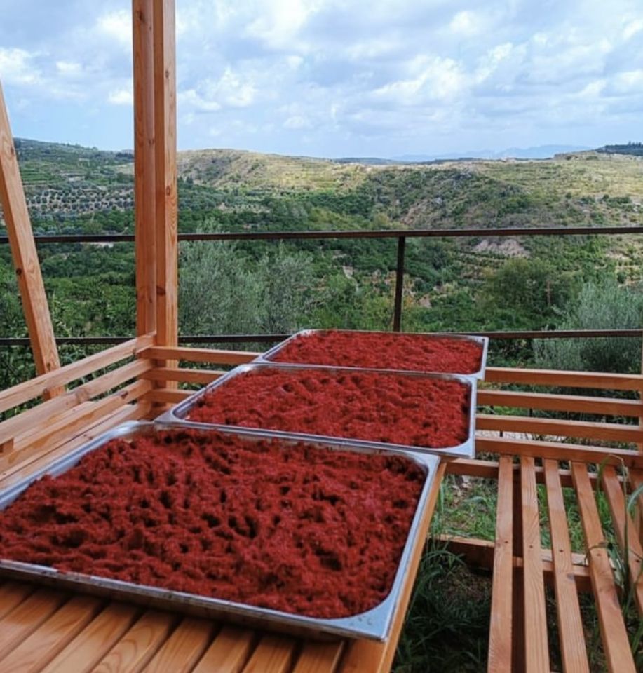 Domates Salçası 700 Gr