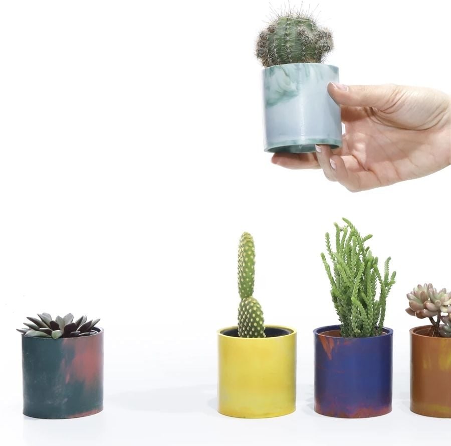 Geri Dönüşüm Saksılı Hediyelik Sukulent