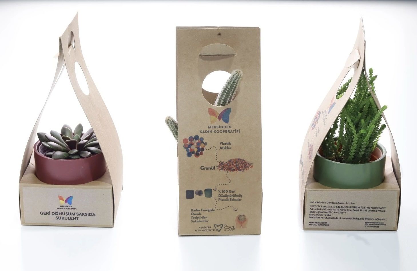 Geri Dönüşüm Saksılı Hediyelik Sukulent