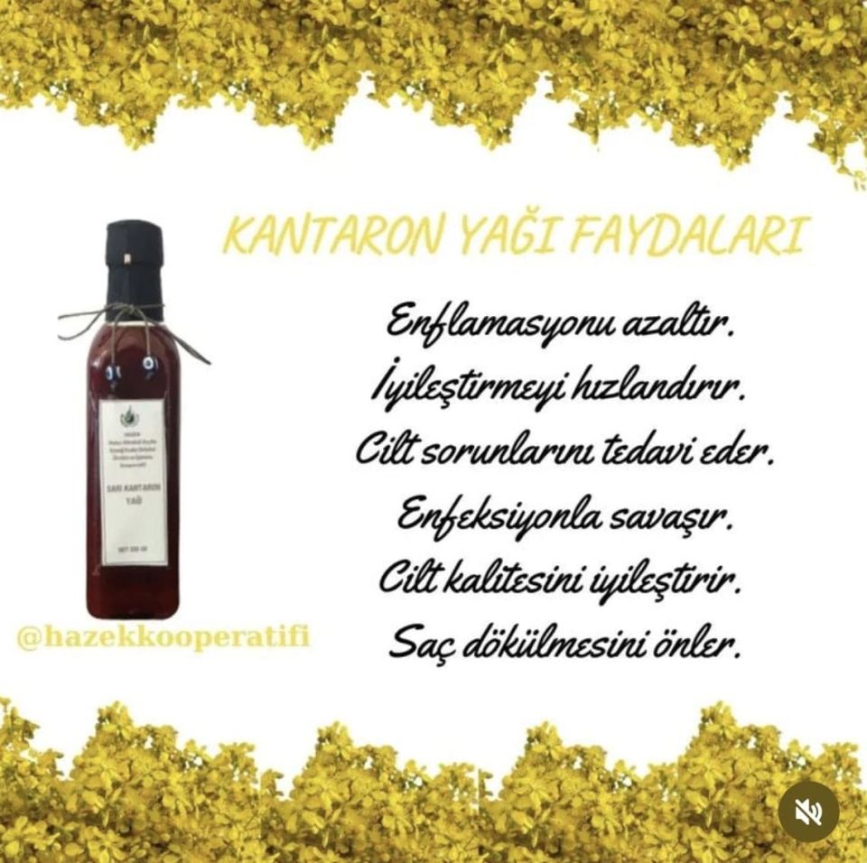 Hazek Sarı Kantaron Yağı 250ML