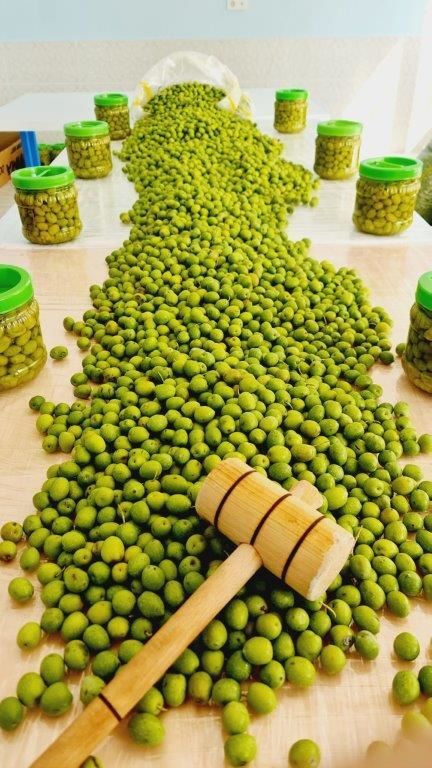 Halhali Kırma Yeşil Zeytin 1.5Kg